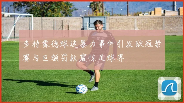 多特蒙德球迷暴力事件引发欧冠禁赛与巨额罚款震惊足球界